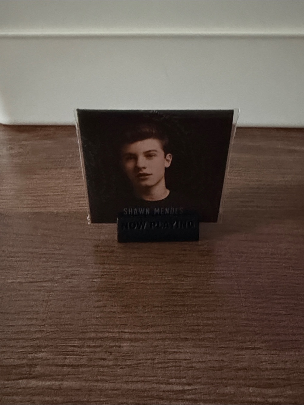 Mini Brand Vinyl: Shawn Mendes